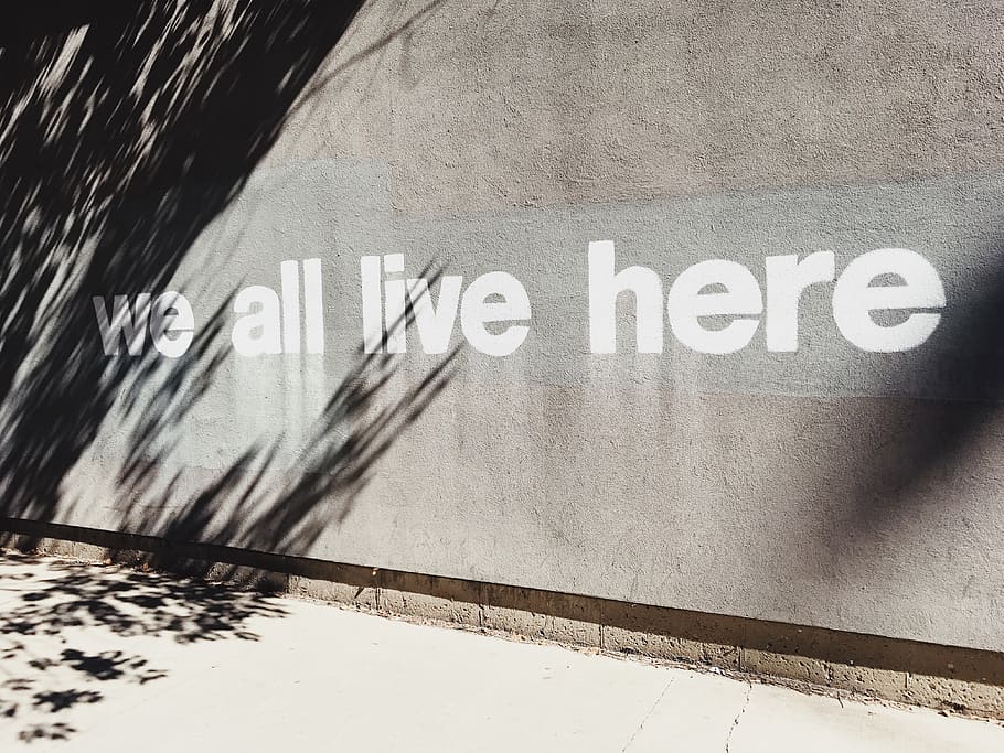gray wall with we all live here graffiti, chicago, united states HD wallpaper