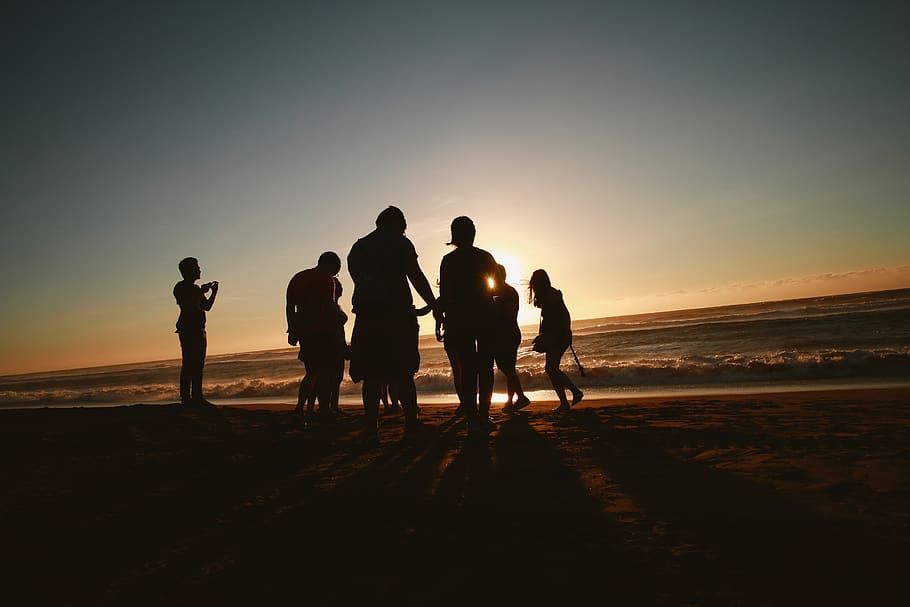 Silhouette Photo of People at the Seashore, backlit, beach, dark HD wallpaper