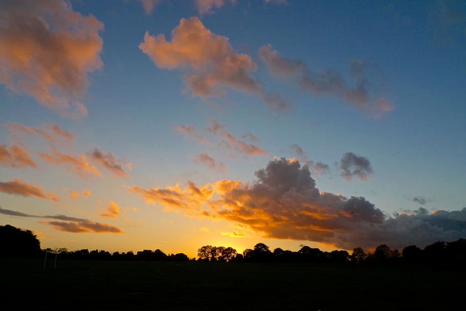 united kingdom, birmingham, perry park, forest, sky, sunset HD wallpaper