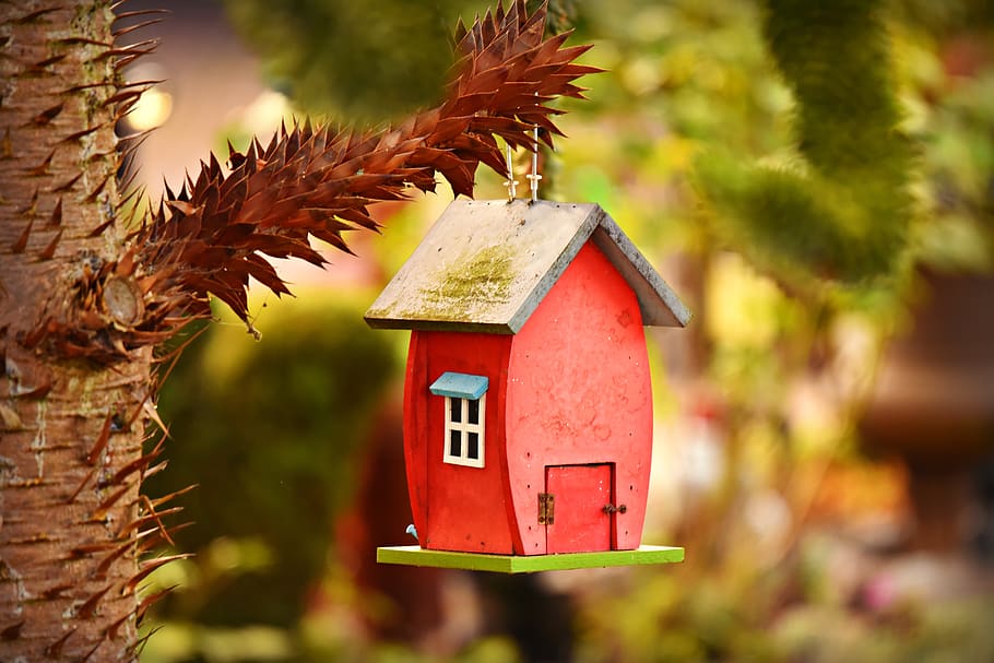 birdhouse, nesting box, shelter, wooden, tree, garden, handmade HD wallpaper