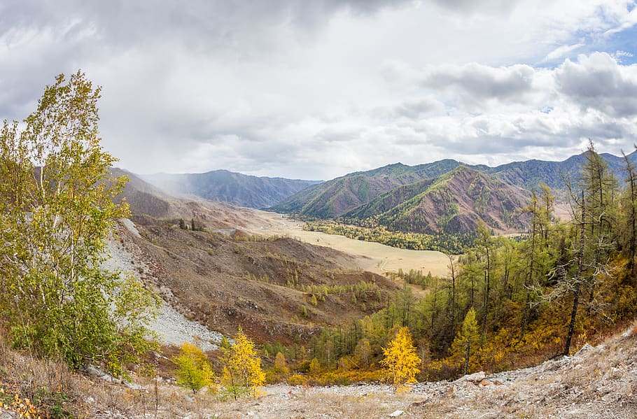 altai, mountains, trees, autumn, landscape, travel, day, light HD wallpaper