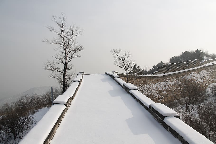winter, snow, cold, tree, nature, badaling great wall in snow HD wallpaper