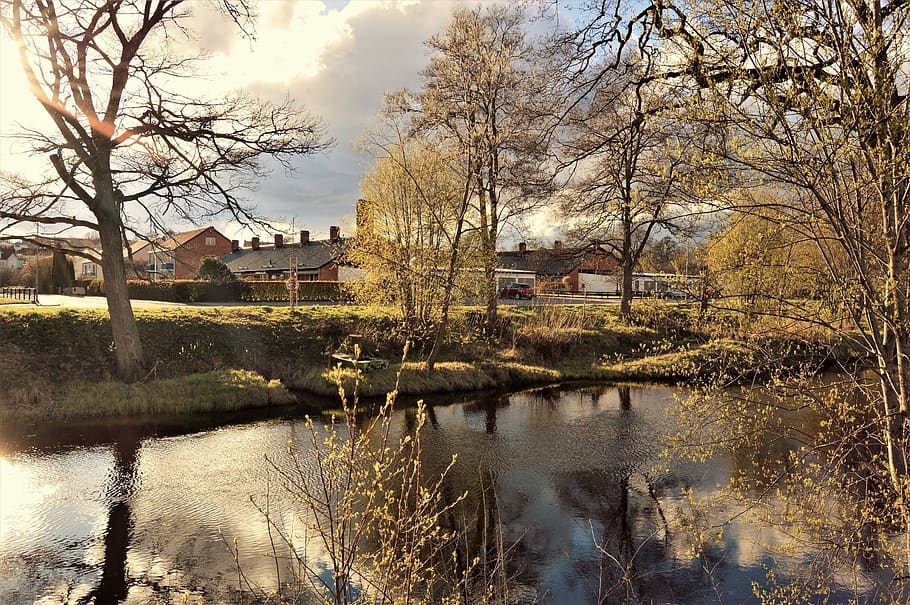 sweden, lake, water, tree, trees, nature, outside, river, buildings HD wallpaper