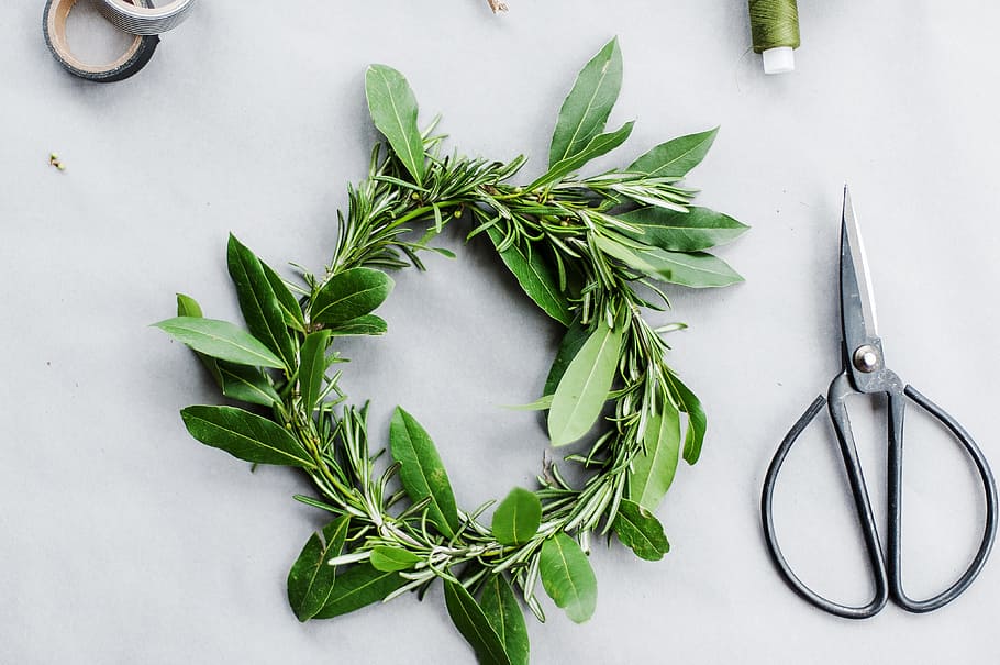 Green Leaf Wreath on White Surface, flatlay, leaves, scissors HD wallpaper