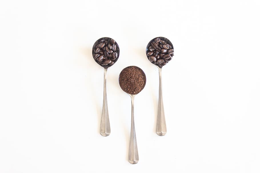 warm, white space, coffee bean, studio shot, white background HD wallpaper