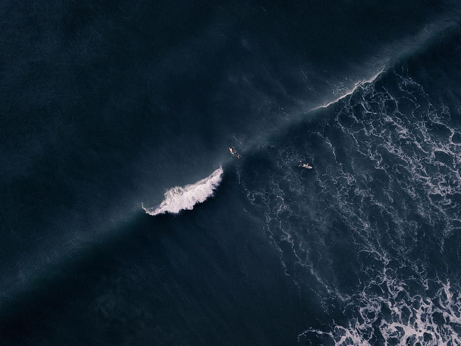 water waves, surfer, board, wafe, hurricane, beach, ocean, adventure HD wallpaper