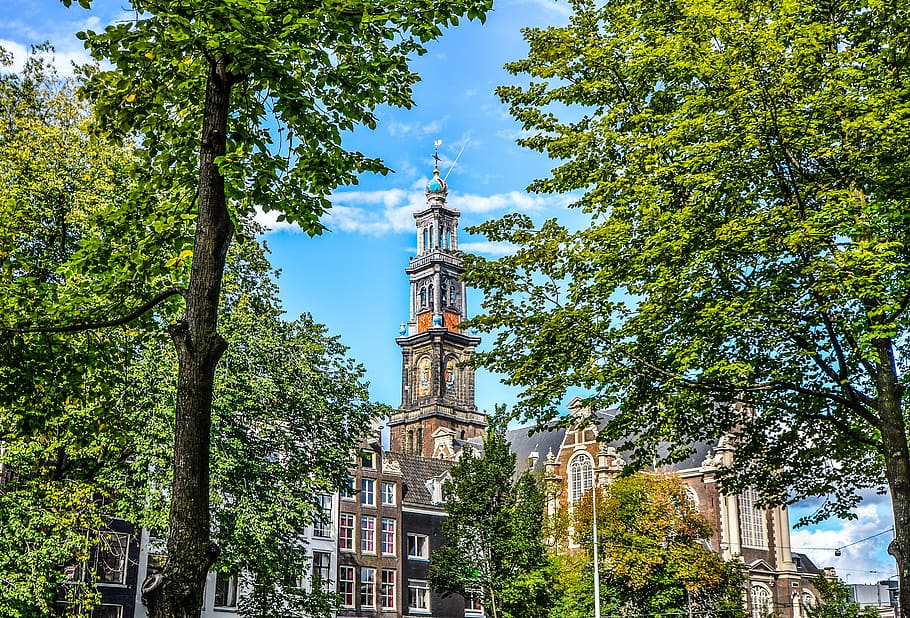 Cathedral Surrounded With Trees, amsterdam, ancient, architecture