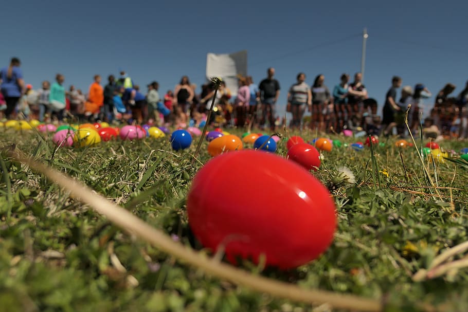 easter, egg, painted, spring, colored, eggs, nature, holiday HD wallpaper