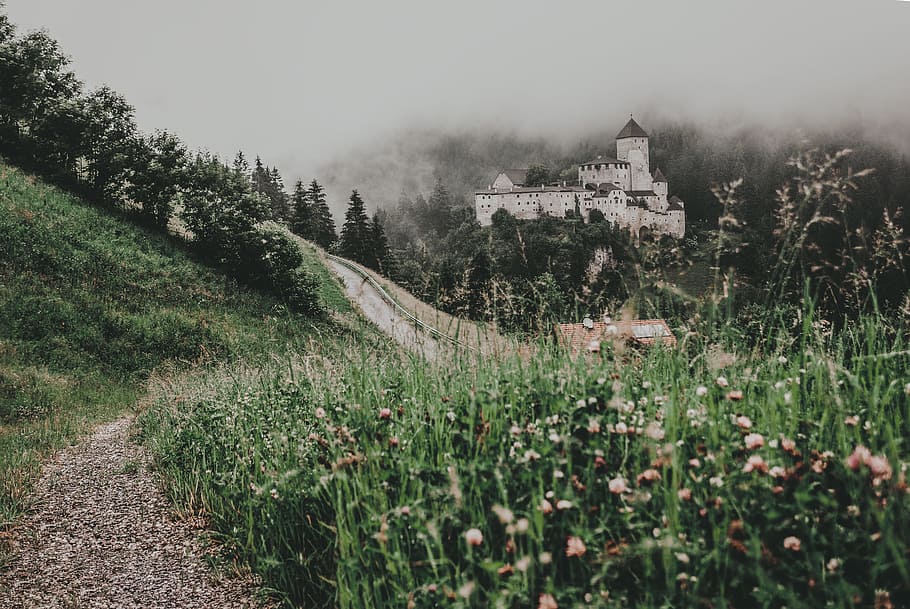 landscape photography of castle, trail, grass, green, fog, cloud HD wallpaper
