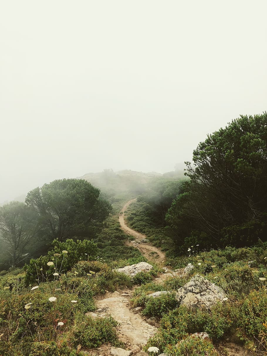rough road surround trees with fogs, italy, gravel, dirt road HD wallpaper