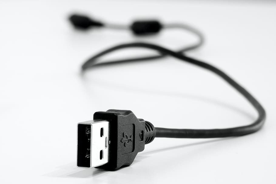 Close-Up Photo Of Black Usb Cable, blur, connection, connector HD wallpaper