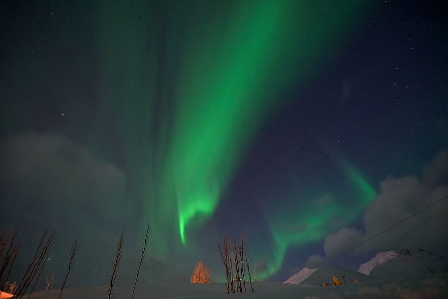 green Aurora sky, night, beauty in nature, scenics - nature, green color HD wallpaper