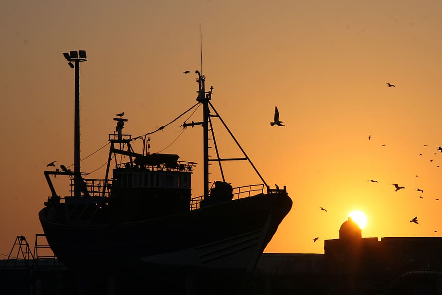 morocco, essaouira, fishing boat, sunset, harbor, sky, nautical vessel, HD wallpaper