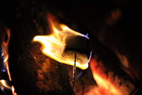 fire, flame, flames, campfire, camp fire, camping, smores, s'mores HD wallpaper