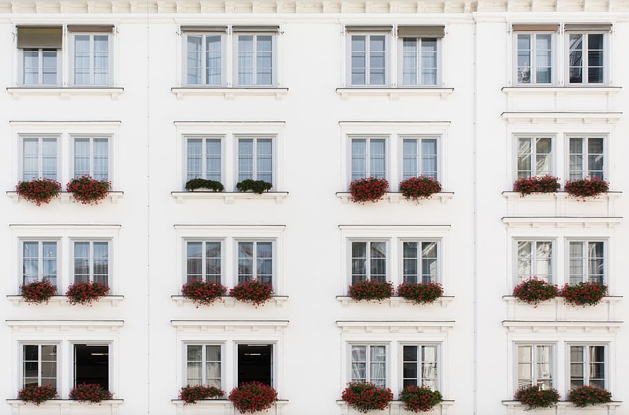austria, vienna, architecture, windows, flowers, building, building exterior HD wallpaper