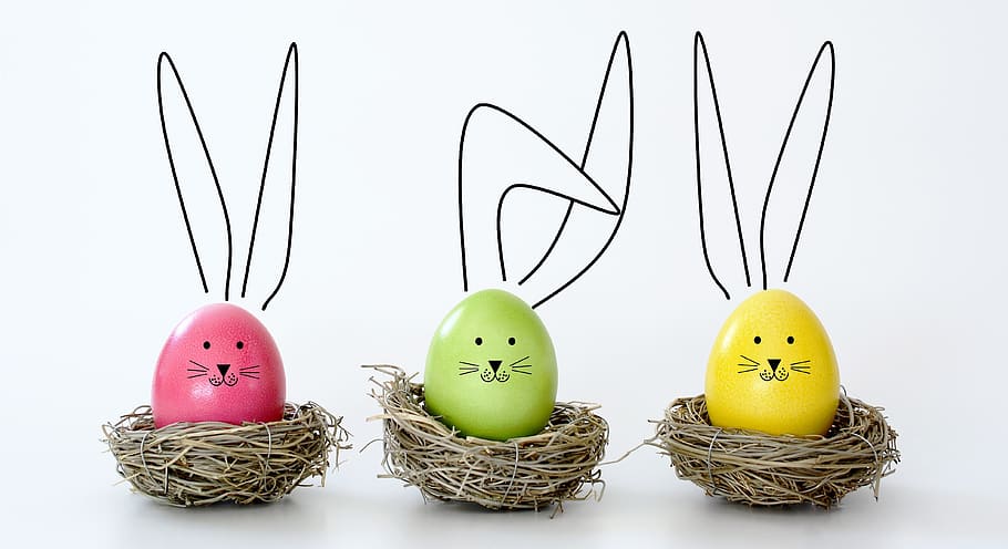 easter, eggs, rabbit, nest, funny, ears, colorful, colored, HD wallpaper