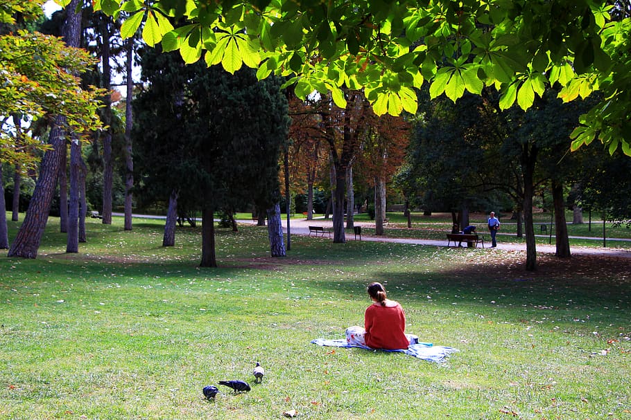 spain, madrid, retiro, plant, tree, real people, grass, leisure activity HD wallpaper