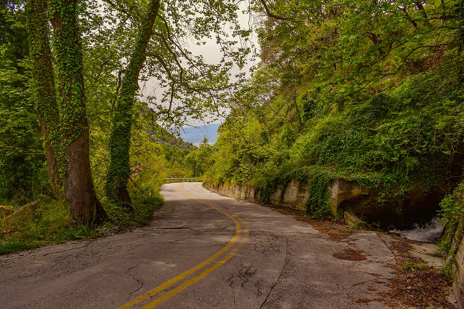 road, scenery, trees, rural, scenic, countryside, makrinitsa HD wallpaper