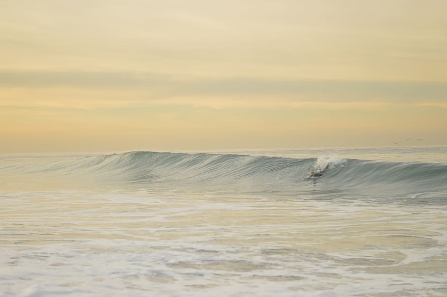 malibu, united states, zuma beach, surfing, sunrise, sand, california, HD wallpaper