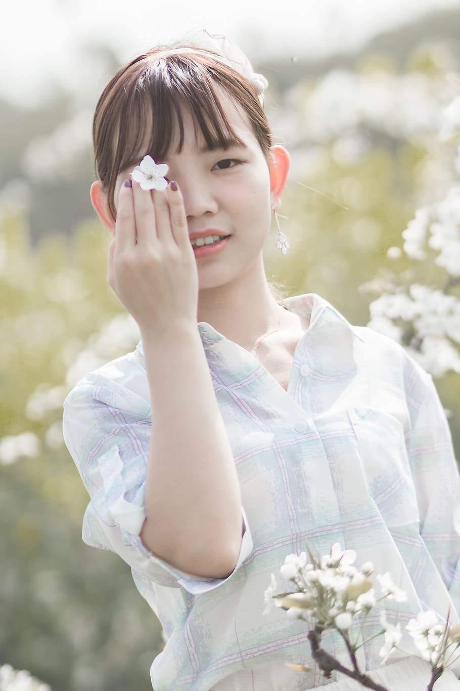 Woman Holding White Cherry Blossom Flower, adorable, beautiful HD wallpaper