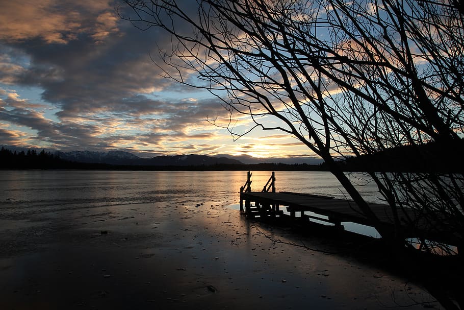 Silhouette Photo of Sea Dock Surrounded by Trees, beach, clouds HD wallpaper