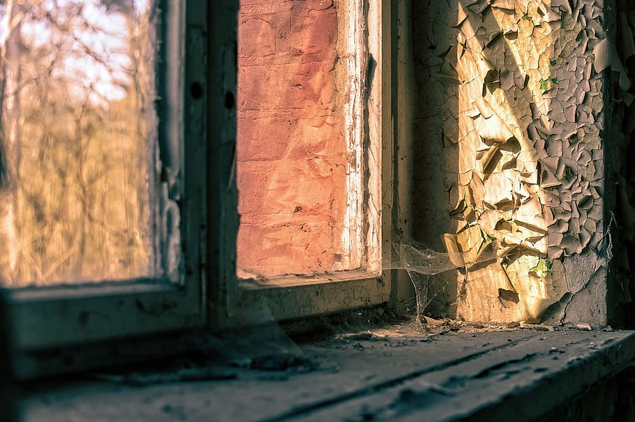 window, cobweb, nature, cobwebs, close up, spider webs, old HD wallpaper