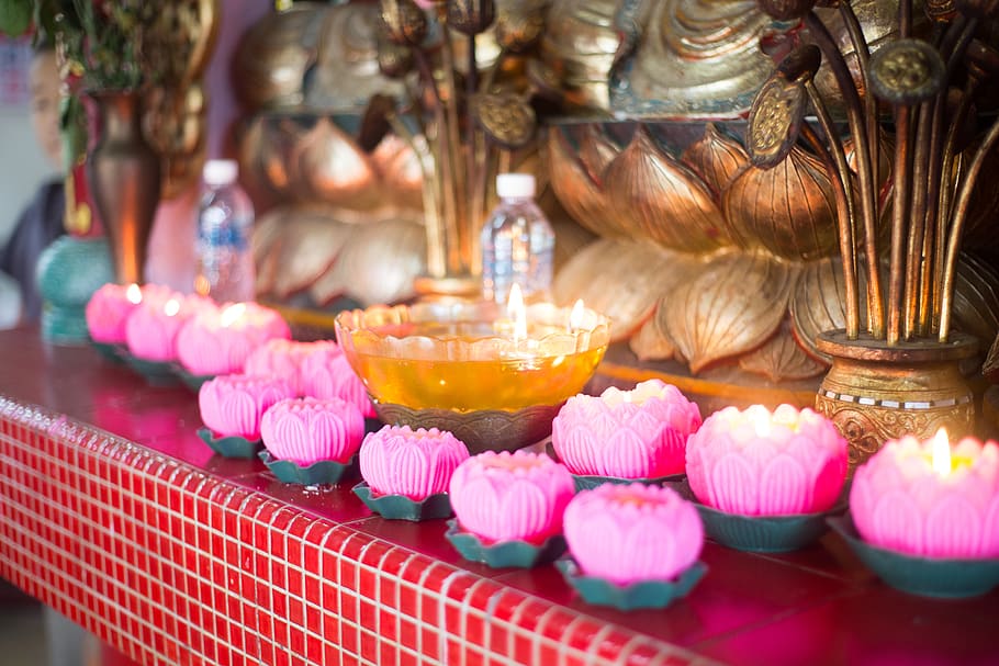 chinesetemple, candle, buda, pray, peace, religion, pink color HD wallpaper