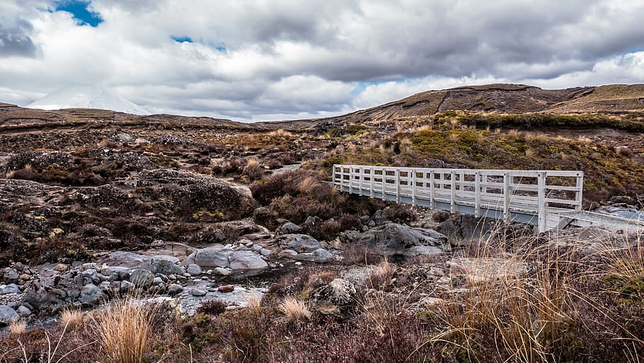 bridge, construction, route, path, pathway, nature, landscape HD wallpaper