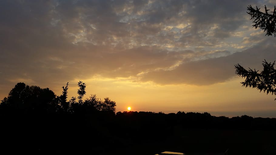 sunrise, sky, mood, tree, sunset, beauty in nature, silhouette HD wallpaper