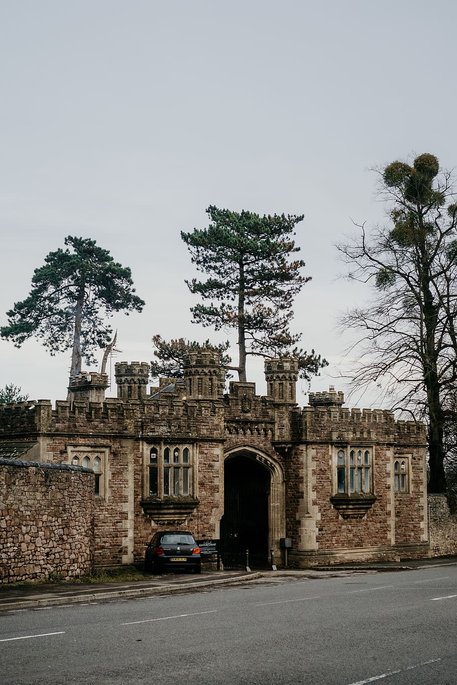 concrete structure surrounded by trees, castle, building, architecture HD wallpaper