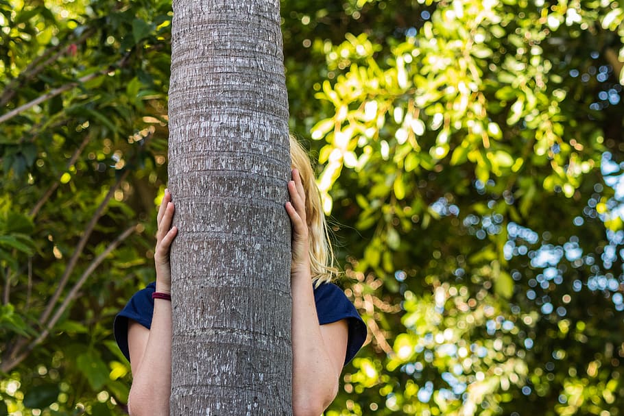plant, tree, tree trunk, person, human, para rubber tree, leaf HD wallpaper