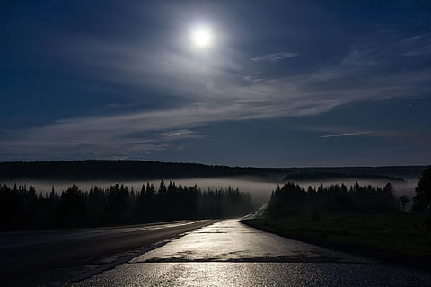 way, moon light, forrest, foggy forrest, road, night road, sky HD wallpaper