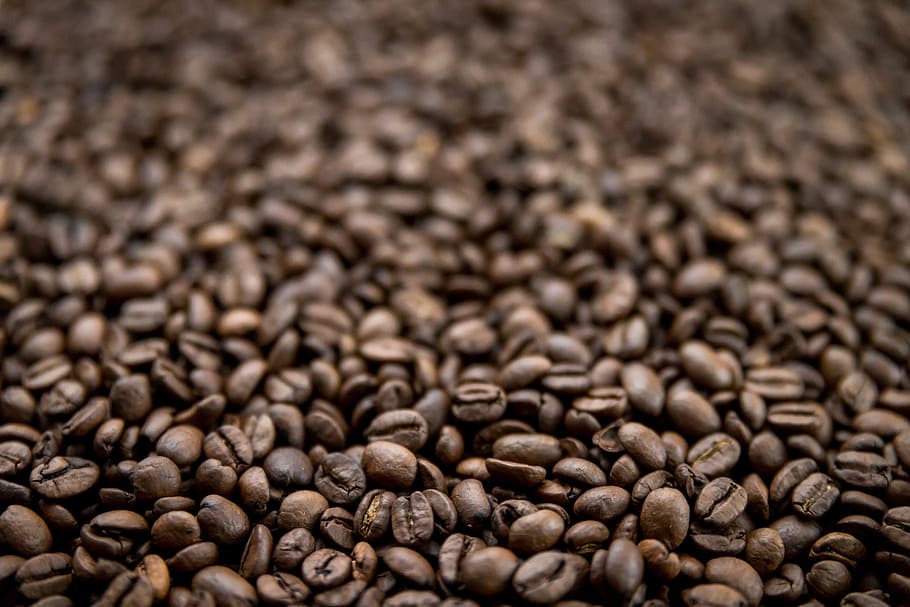 A shallow depth-of-field image of coffee beans, food and drink HD wallpaper