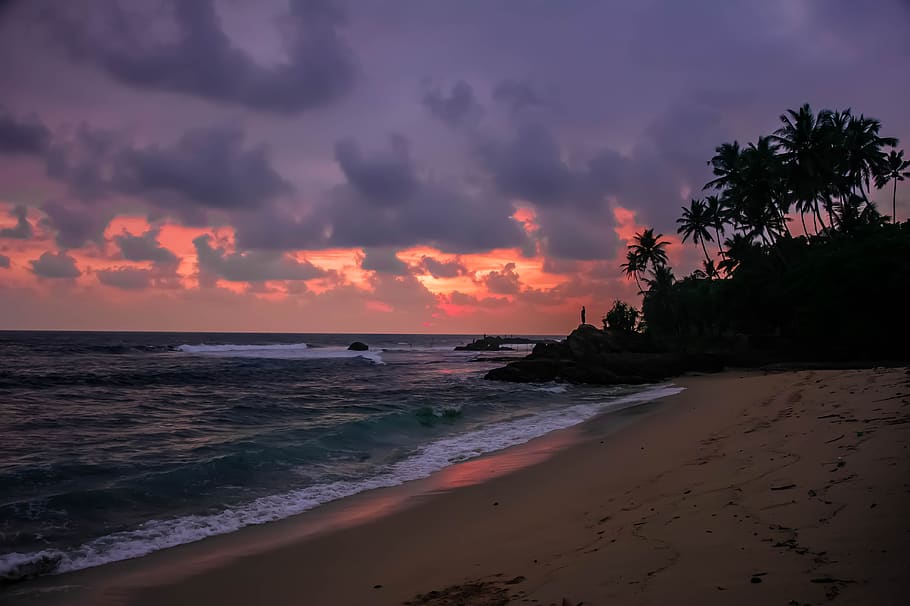 dusk, beach, sunset, sea, ocean, sunrise, water, sky, summer HD wallpaper