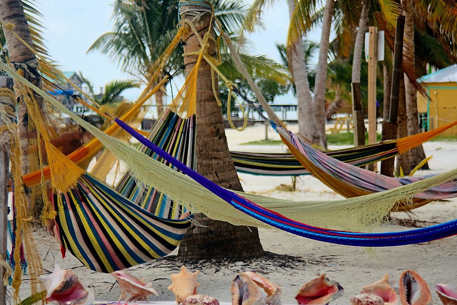 hammocks, belize, caye caulker, beach, palm trees, tropical climate HD wallpaper