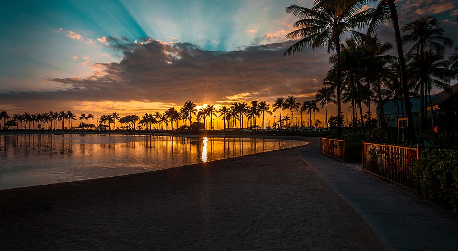 sunlight pierce through palm tree line, sunset, sky, water, cloud - sky HD wallpaper