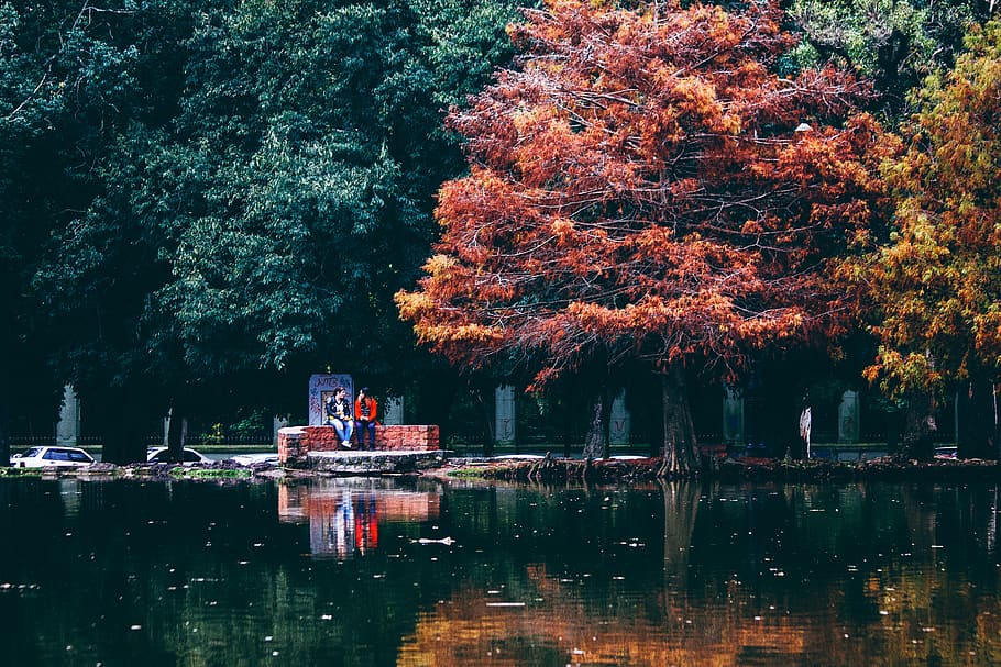 argentina, la plata, rest, tree, lake, leaves, red, people HD wallpaper