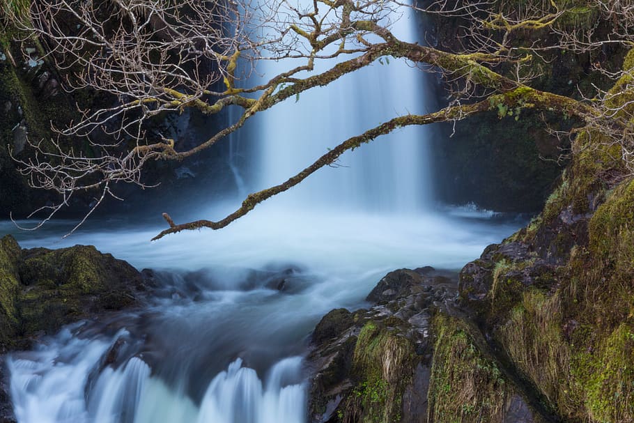 Waterfalls, cascade, daylight, long-exposure, moss, stream, tree HD wallpaper