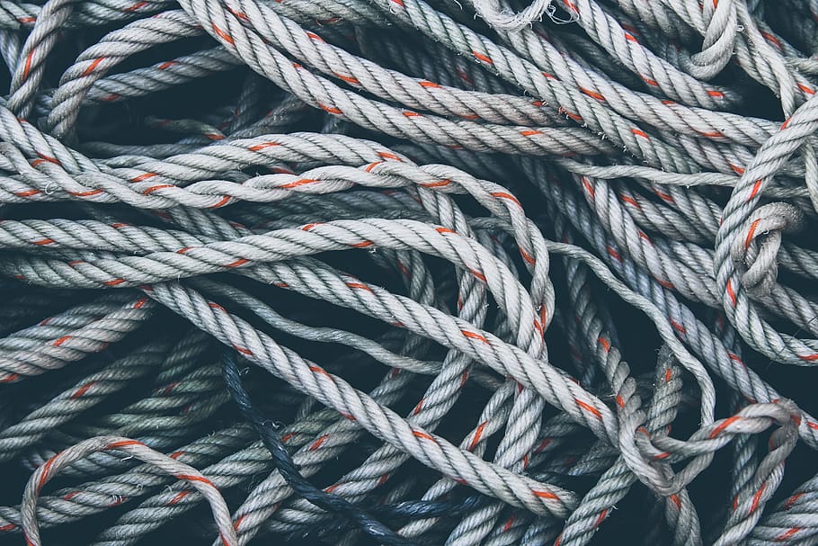 brown and white rope, rug, bird, animal, wire, steel, cable, buckle HD wallpaper