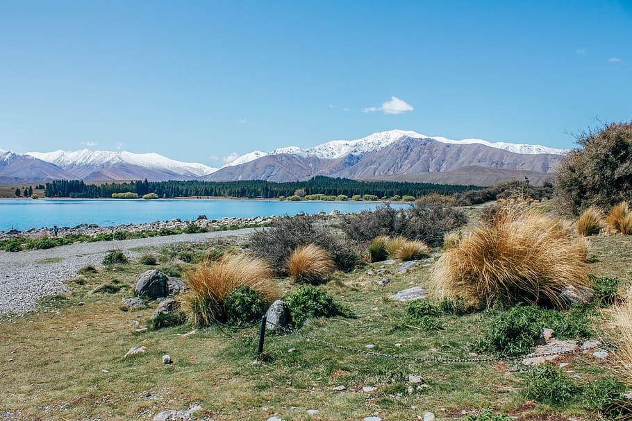 Grass Field Near Body of Water Under Blue Sky, daylight, environment HD wallpaper