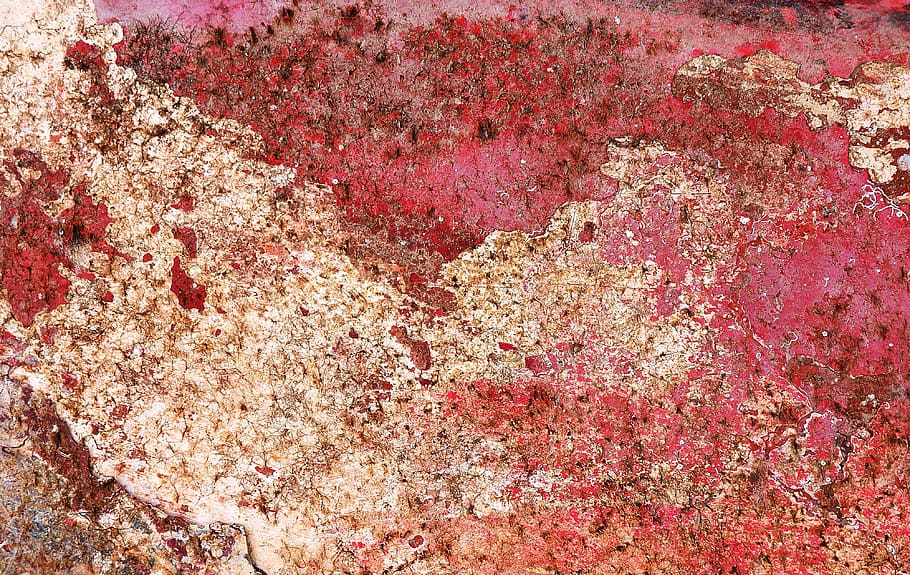 rock, rust, rug, texture, torso, crystal, cricket insect, invertebrate HD wallpaper