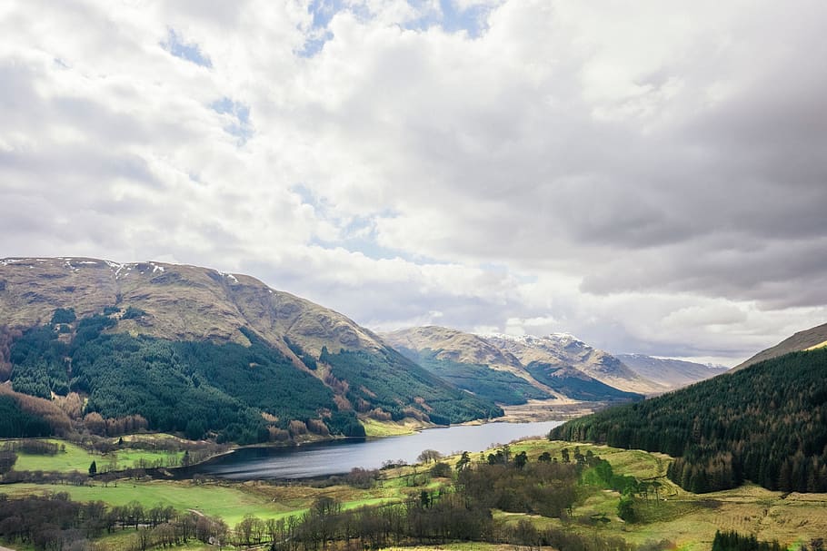 green, grass, trees, forest, nature, landscape, mountain, highland HD wallpaper