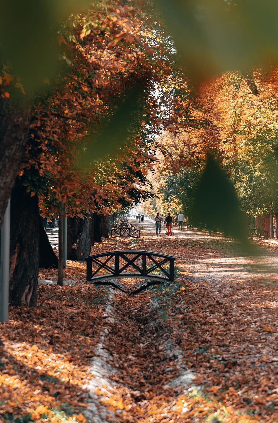 black metal bridge, human, person, people, bench, flora, plant HD wallpaper