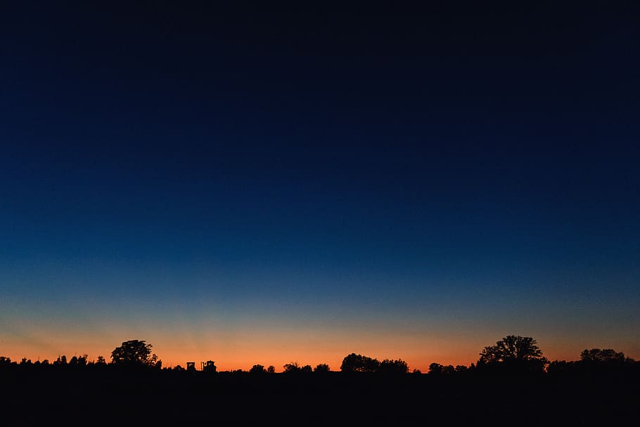 Silhouette of Trees, blue, blue hour, bright, dark, dawn, evening HD wallpaper