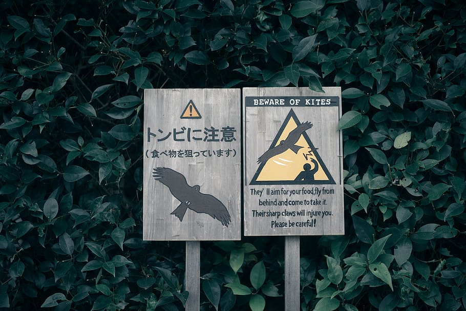 japan, kamakura, communication, sign, text, leaf, plant, plant part HD wallpaper