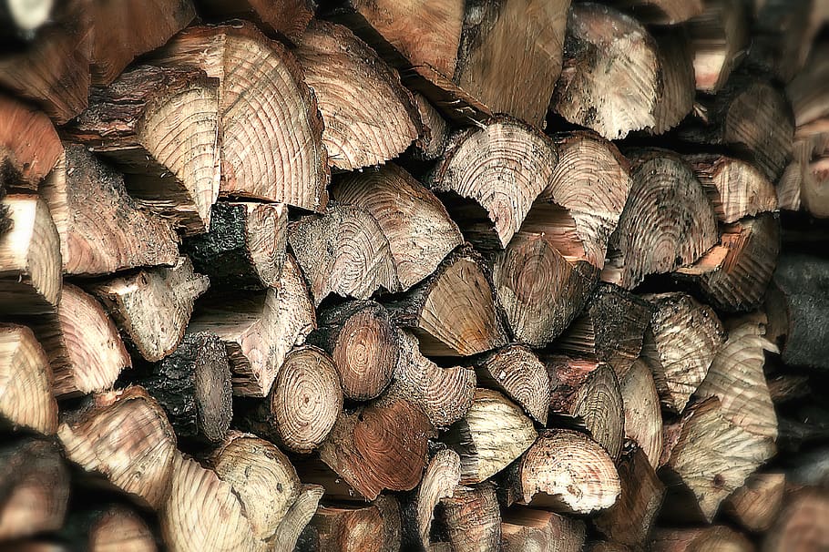 wood, forest, full frame, backgrounds, large group of objects HD wallpaper