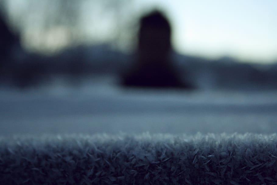 ice, snowflakes, plant, nature, outdoors, no people, selective focus HD wallpaper