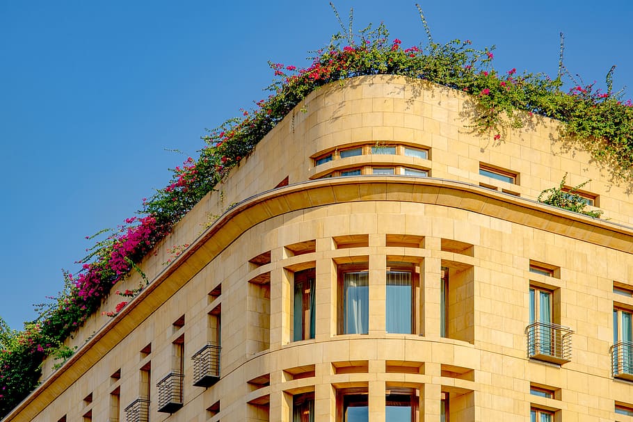 building, facade, flowers, greenery, architecture, city, beirut HD wallpaper