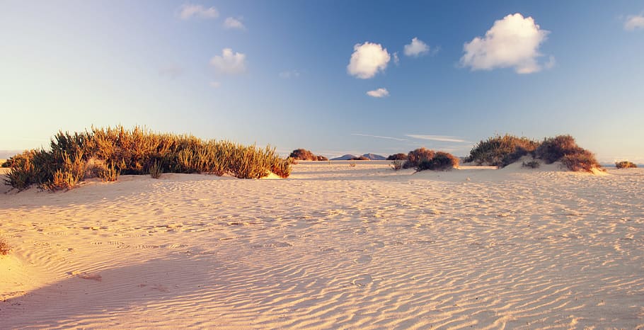 Empty White Desert Near Grasses, blue sky, clouds, daylight, horizon HD wallpaper