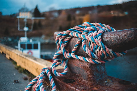 teal and pink rope, animal, dinosaur, reptile, knot, rust, boat HD wallpaper